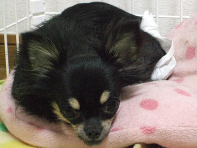 2008_04270008.JPG