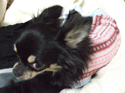 2008_05040005.JPG