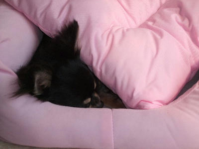 2008_05260013.JPG