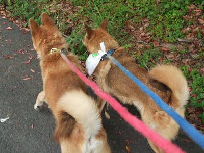 2008_05270002.JPG