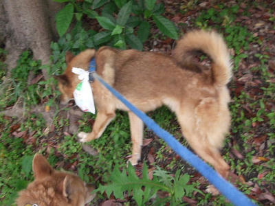 2008_05270003.JPG