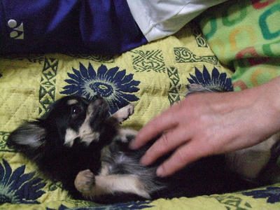 2008_05270007.JPG
