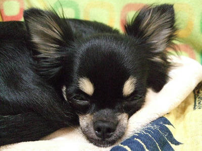 2008_05290012.JPG