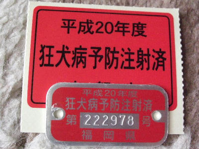 2008_06120004.JPG