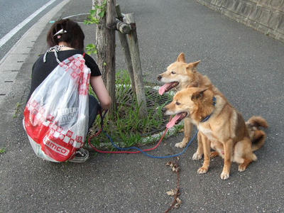 2008_06130001.JPG