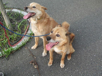 2008_06130002.JPG