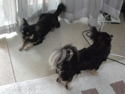 2008_06150003.JPG