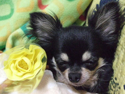 2008_06150001.JPG