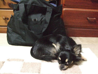2008_06150005.JPG