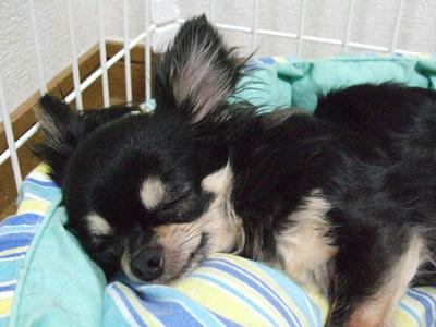 2008_06170014.JPG