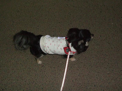 2008_06190016.JPG