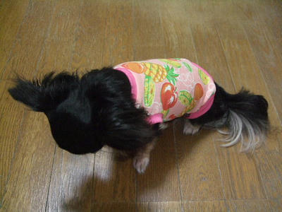 2008_06260006.JPG