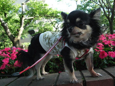2008_06300013.JPG