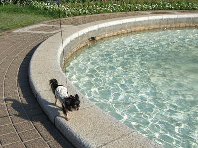 2008_06300016.JPG
