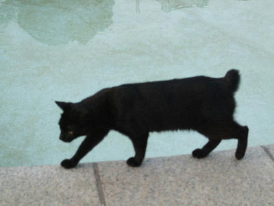 2008_07020007.JPG
