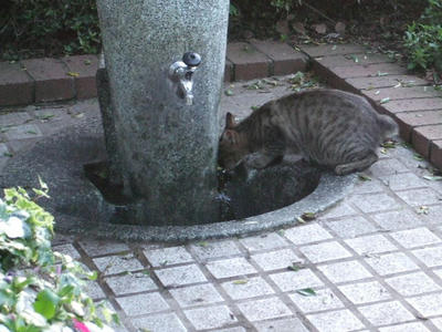2008_07020013.JPG