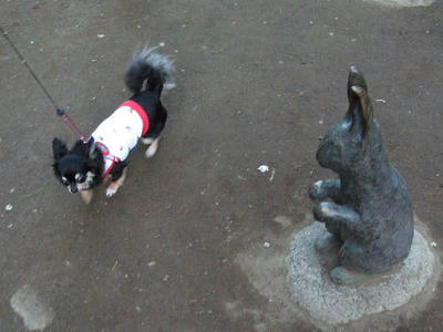 2008_07020018.JPG