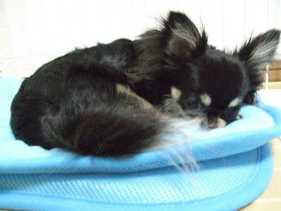 2008_07060026.JPG