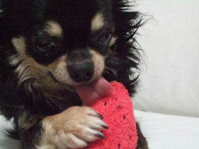2008_07070034.JPG