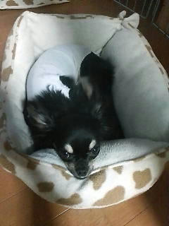 2008.7.18-2.jpg