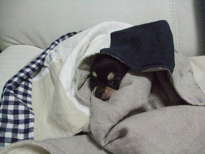 2008_08100004.JPG