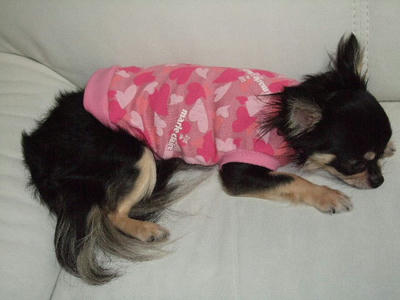 2008_08100048.JPG