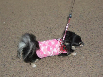 2008_08100056.JPG