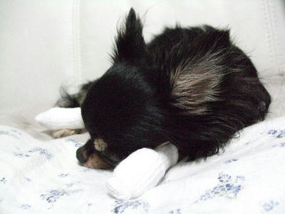 2008_08300009.JPG