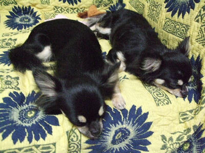 2008_09140004.JPG