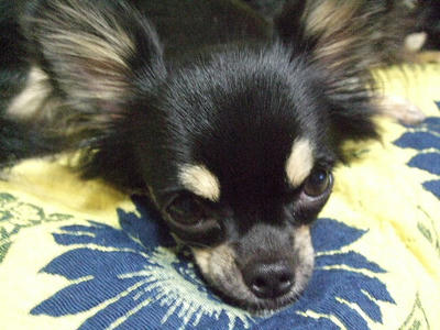 2008_09140007.JPG