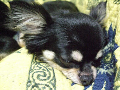 2008_09140009.JPG