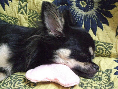 2008_09150010.JPG