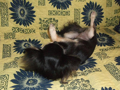 2008_09150013.JPG