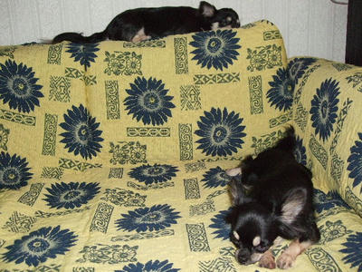 2008_09150037.JPG