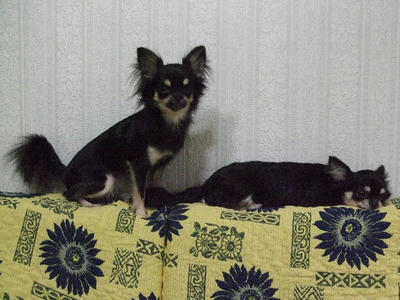 2008_09150061.JPG