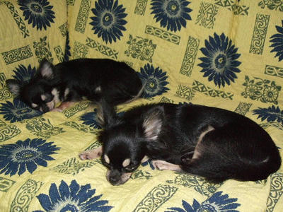 2008_09150105.JPG