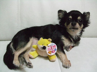 2008_09200008.JPG