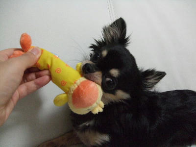 2008_09200009.JPG