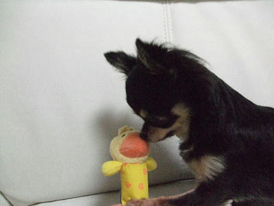 2008_09200010.JPG