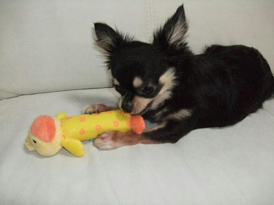 2008_09200013.JPG