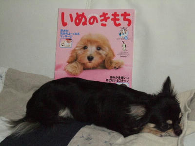 2008_09250020.JPG