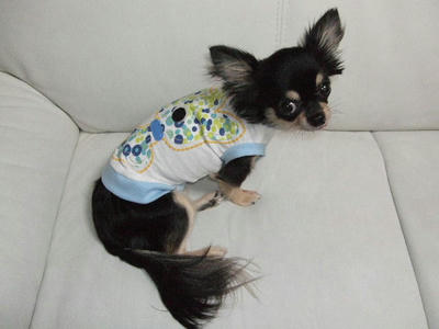 2008_09270017.JPG