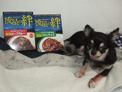 2008_10250006.JPG