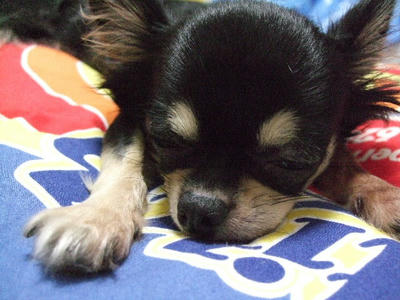 2008_10250015.JPG