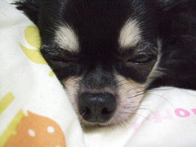 2008_10260020.JPG