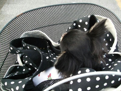 2008_11020001.JPG