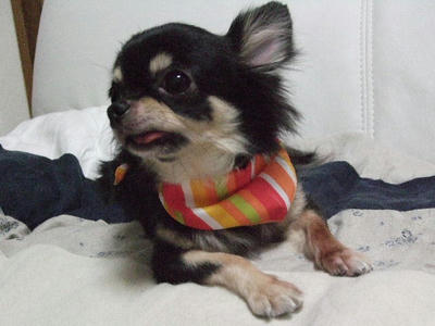 2008_11020019.JPG