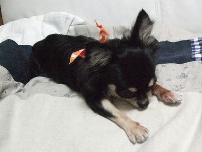 2008_11020036.JPG
