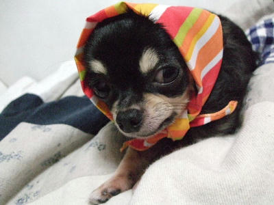 2008_11020045.JPG