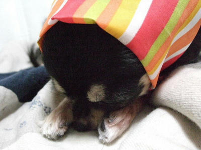 2008_11020058.JPG